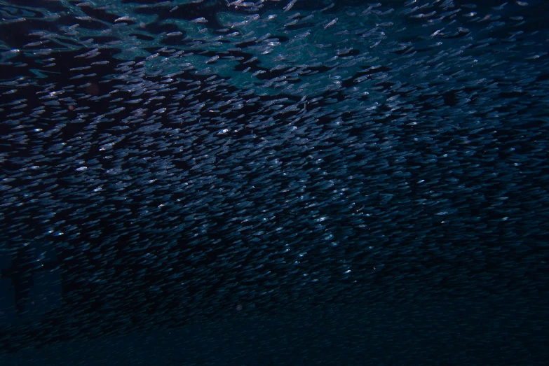 a black background with lots of light bubbles