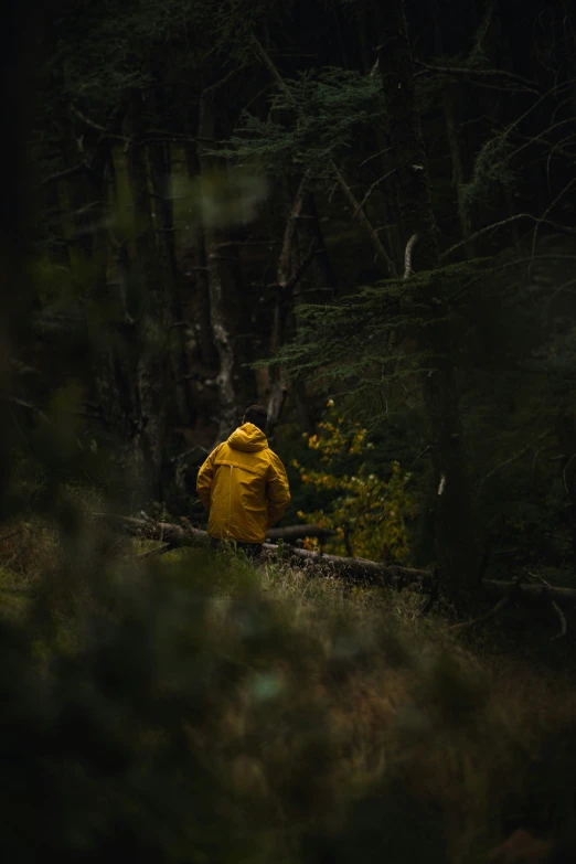 a man in a yellow jacket is standing near some trees