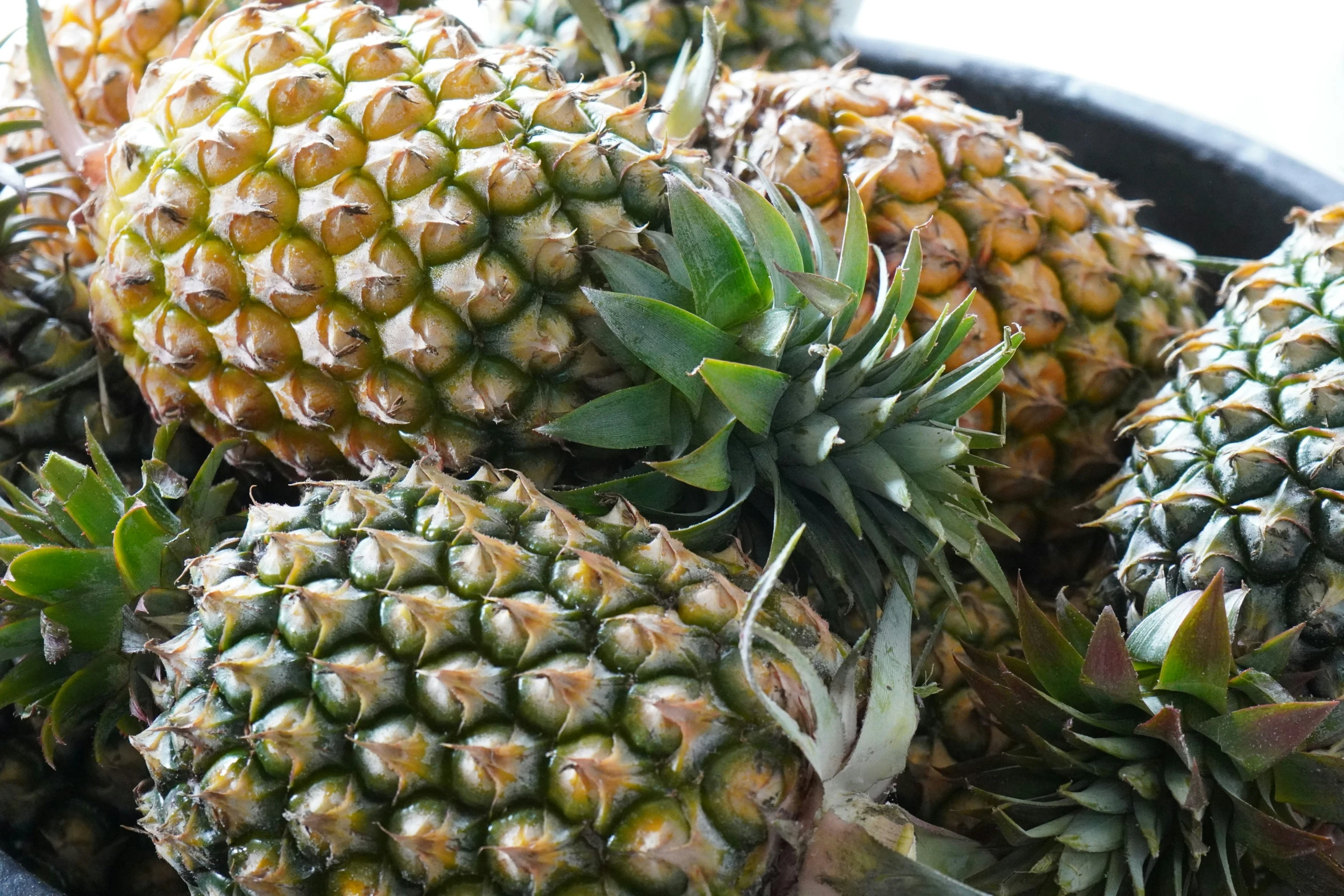 several yellow pineapples are in the basket together