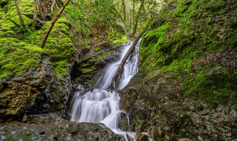 a waterfall flows into a pool surrounded by trees