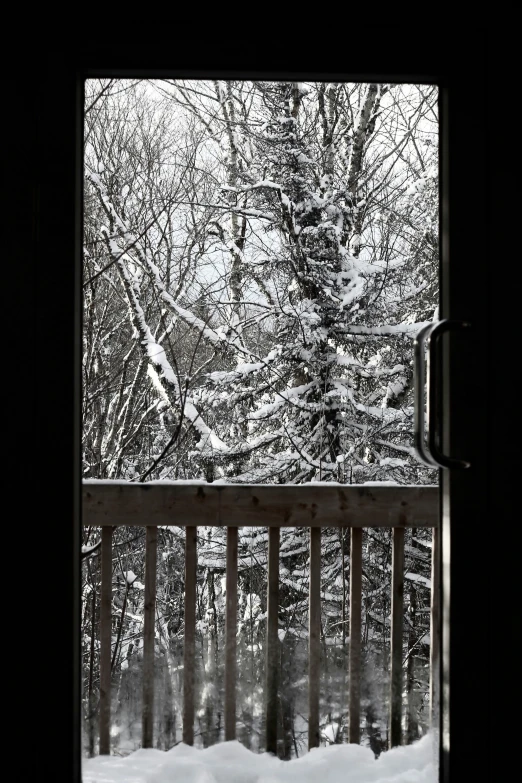 a view of snow covered trees from an open window