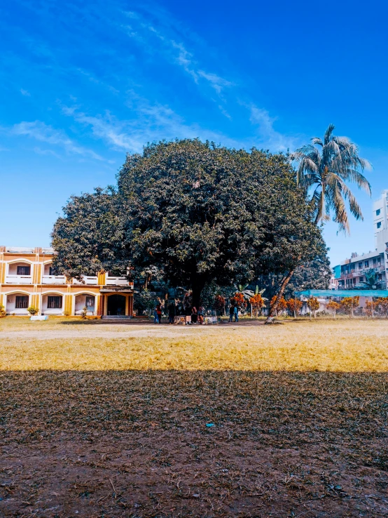 the large building is next to a tree