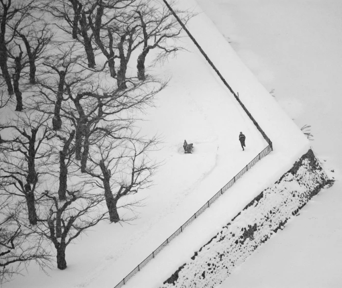 two people in the snow near many trees