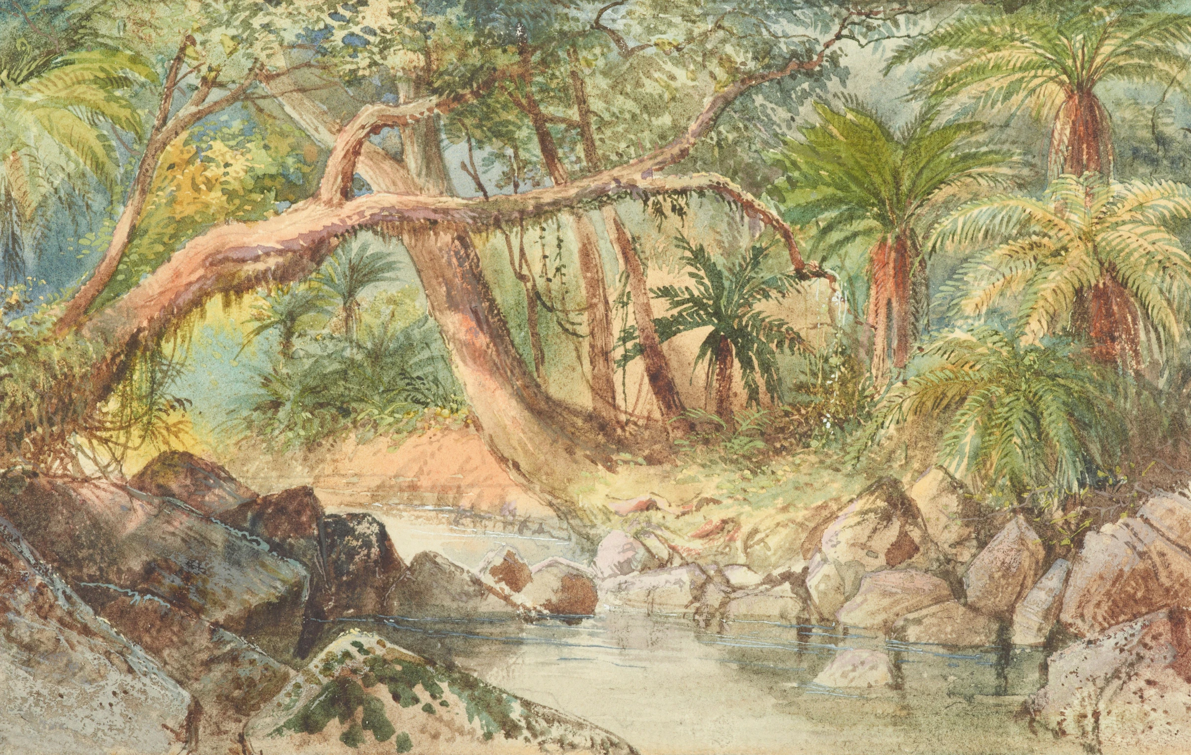 a painting shows many different trees and shrubs