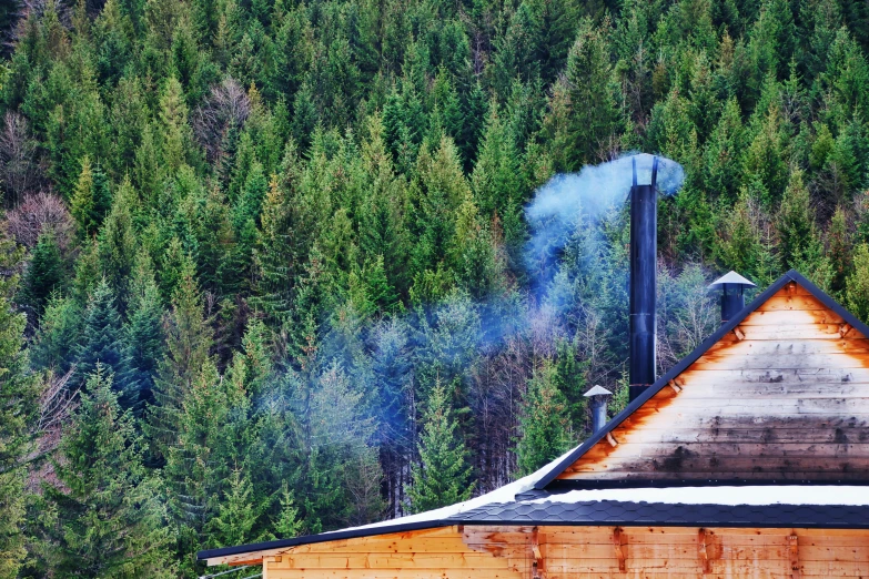 smoke coming from a chimney outside a building in the woods