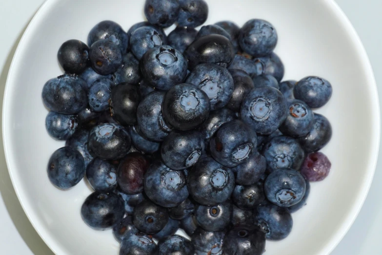 blueberries in a white bowl on a table