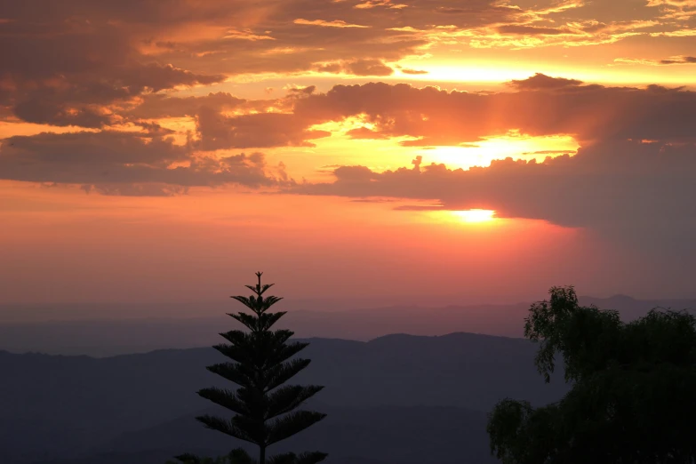 the sun rising over some trees with mountains in the distance