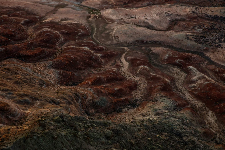 a group of animals are in the foreground and on the background