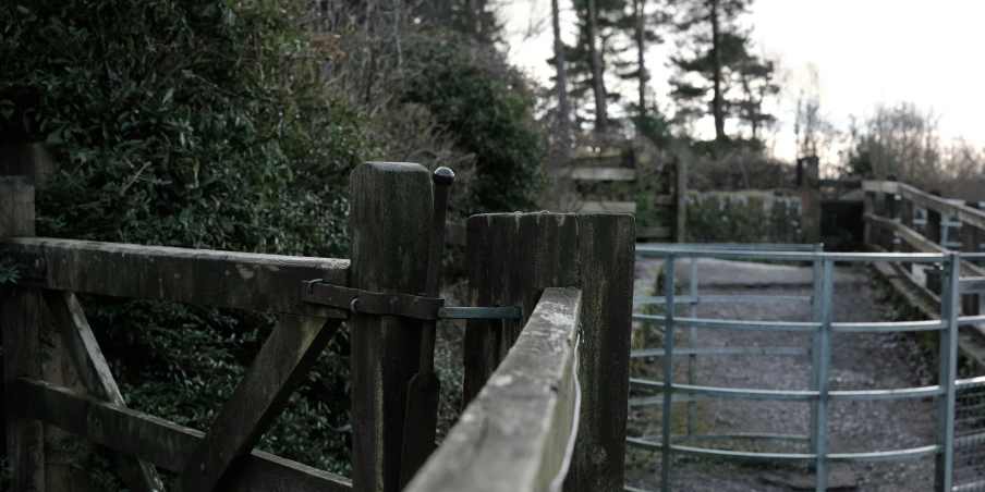 there is a horse behind the fence and an iron gate