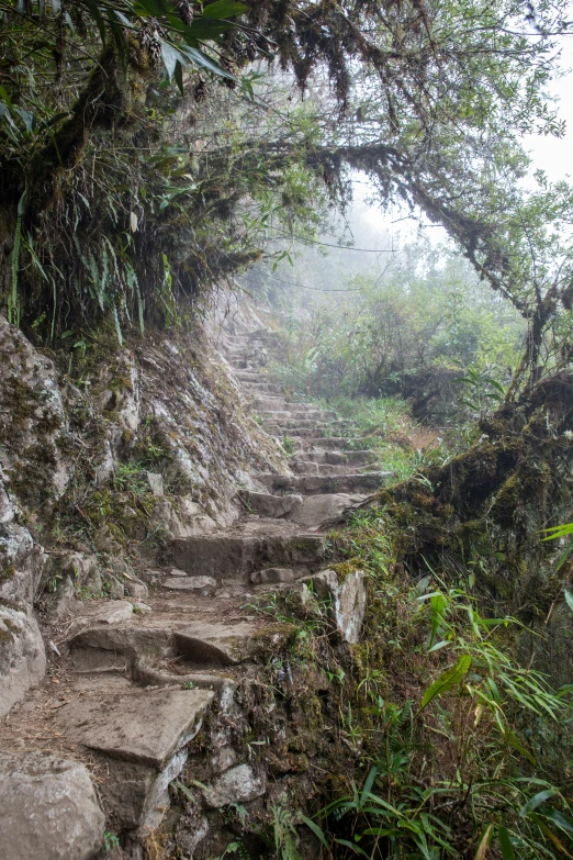 some rocks and dirt stairs going up into the distance