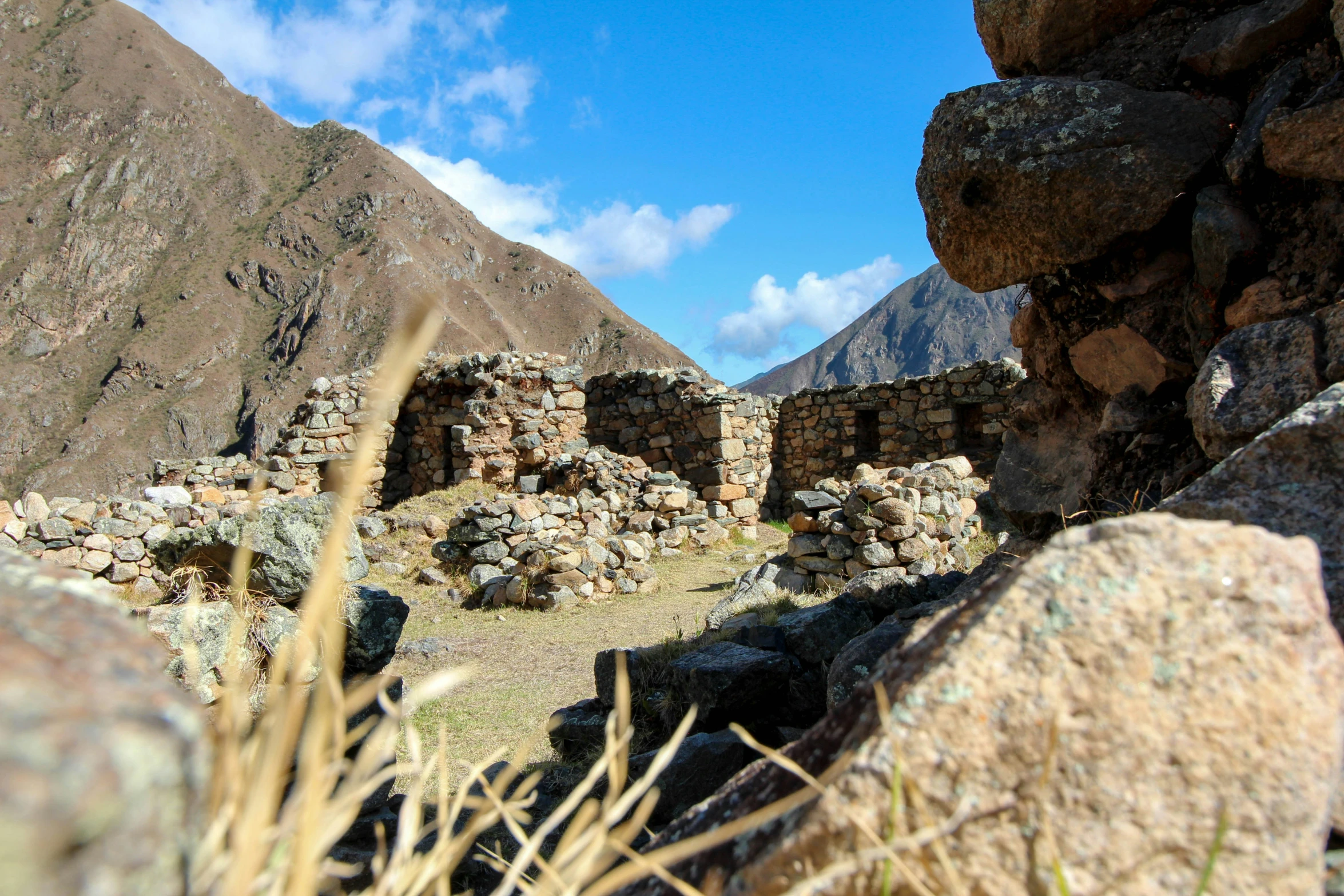 several rocks and some weeds are near a mountain