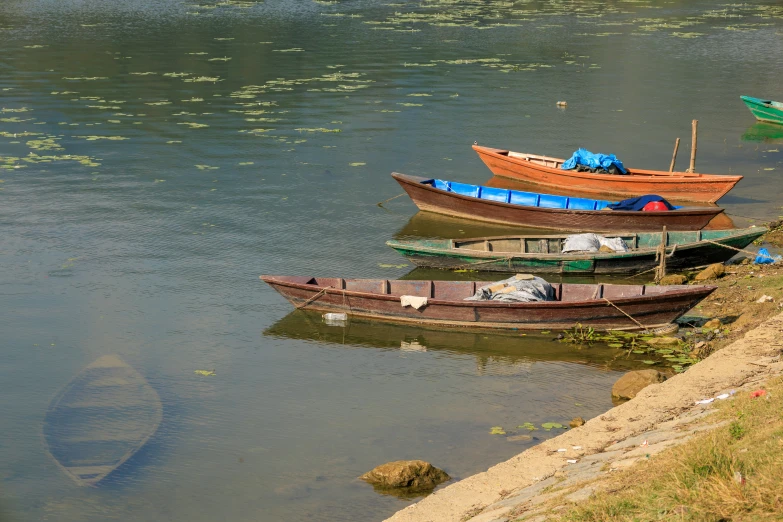 three small boats tied up next to the edge of a lake