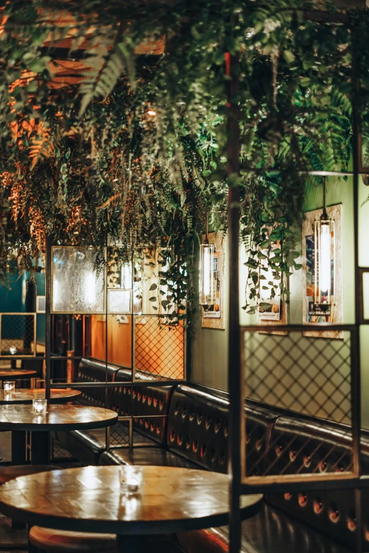 inside seating at a restaurant with plants in the walls