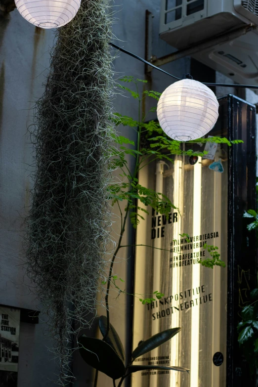 lamps and plants with decorations on display inside an exhibit