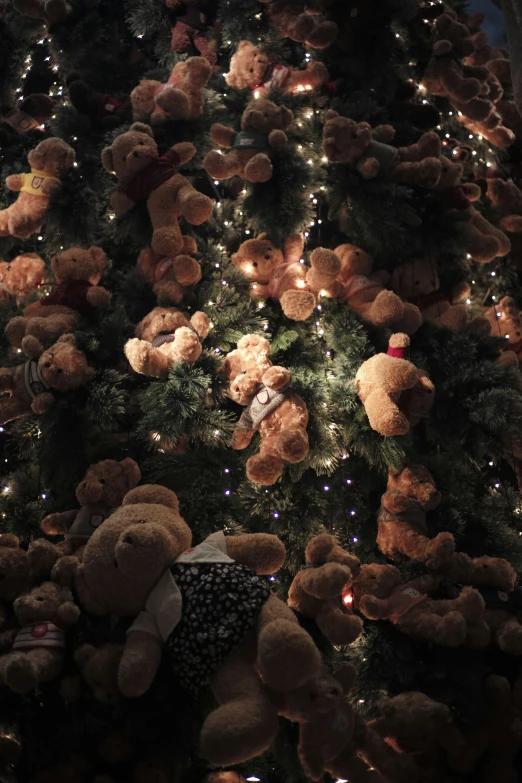 several teddy bears all around a christmas tree