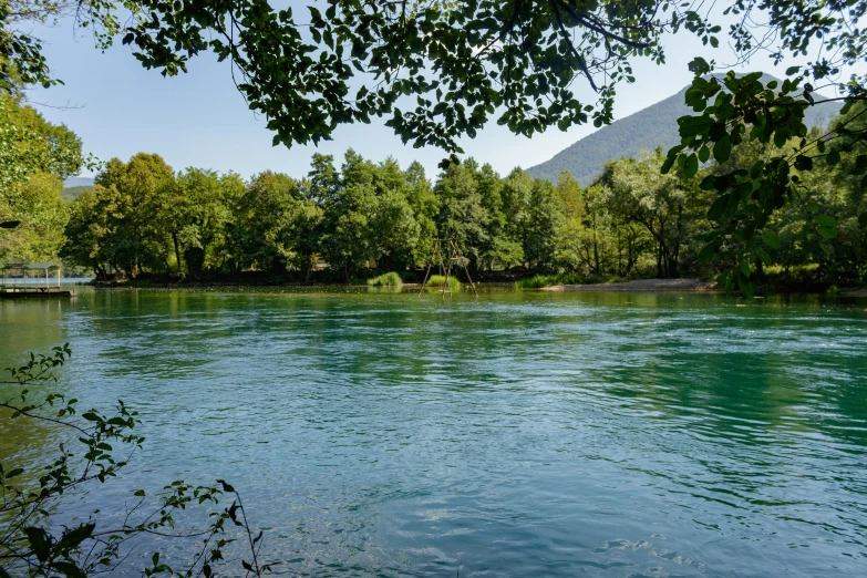 the water at the bank has very many green colors