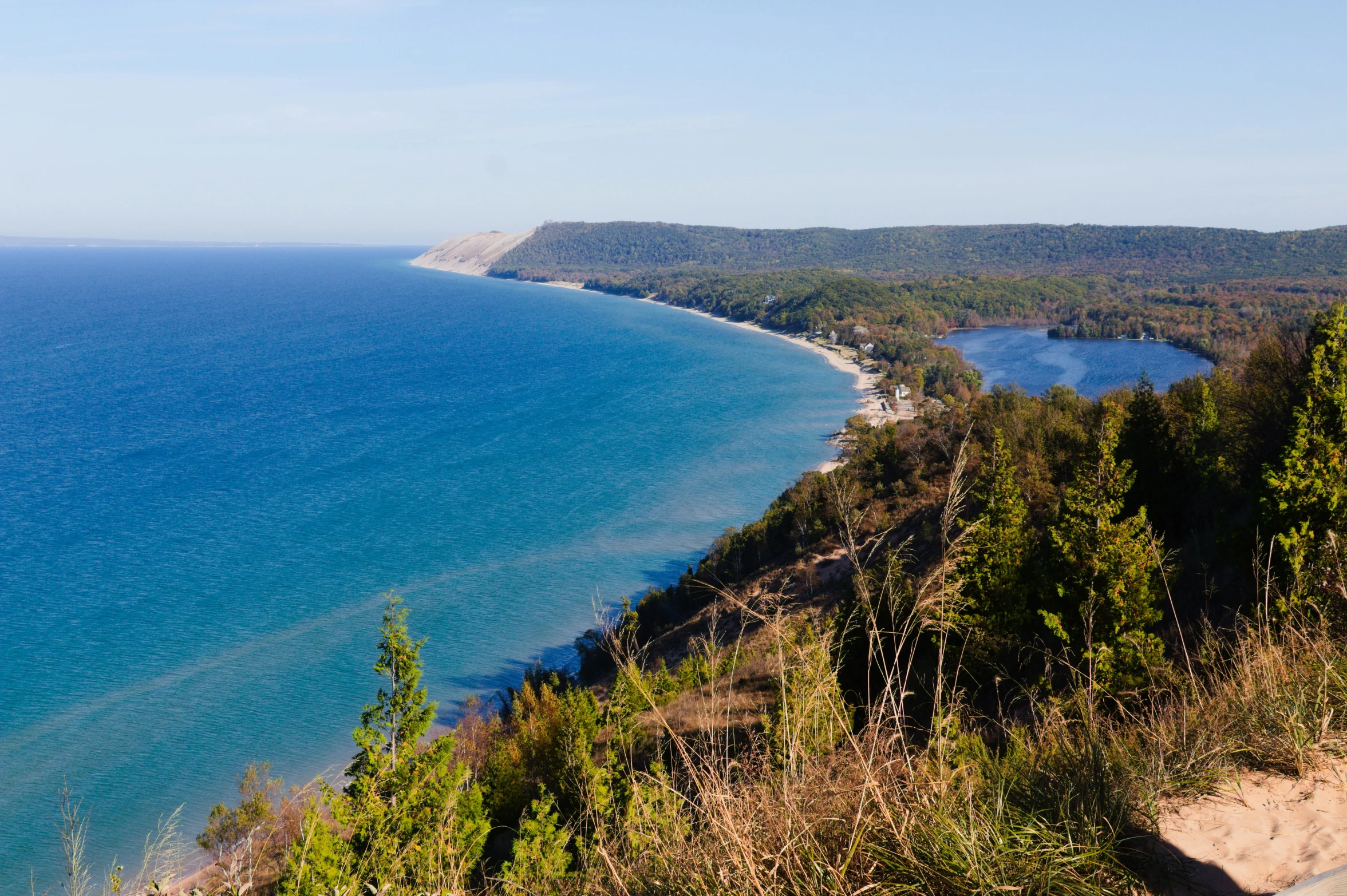 the trees line the beach along side the blue water