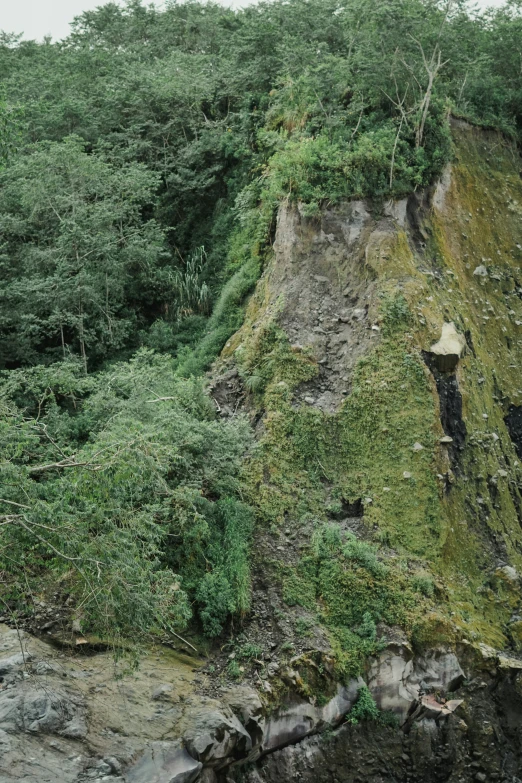 a large steep rock with bushes growing on it