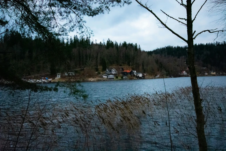 a body of water surrounded by trees and grass