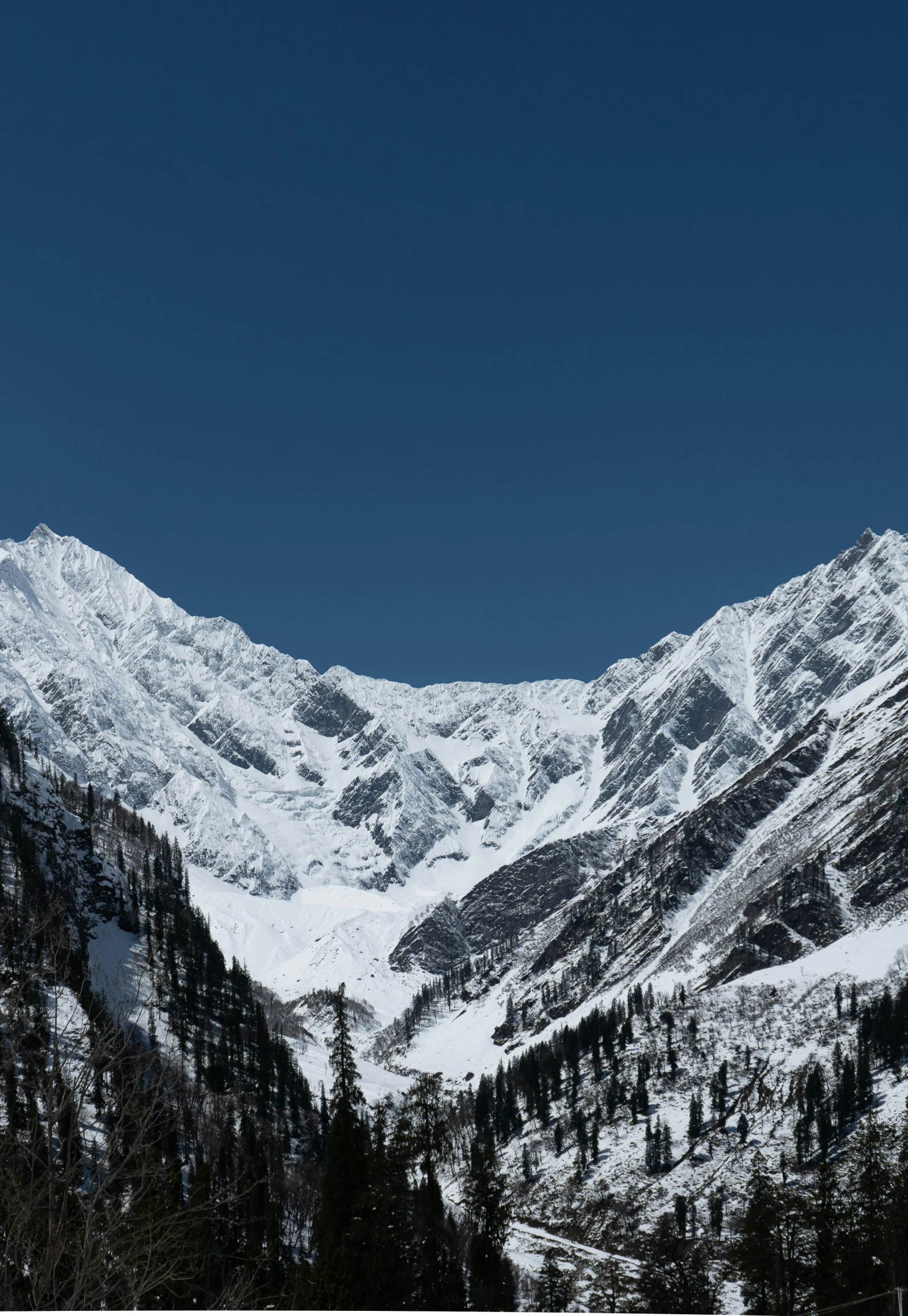 snow - covered mountains and trees in the background