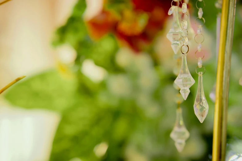 some green plants and a leafy plant with some beads