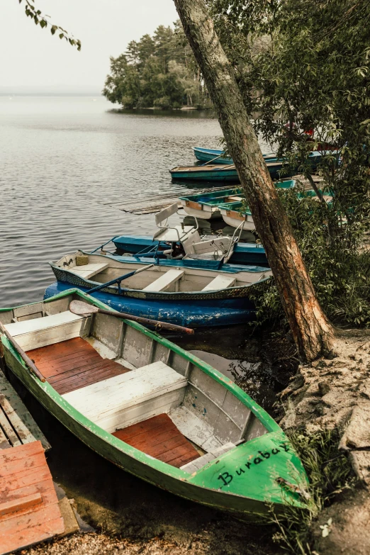 several row boats are pulled up near the shore of a lake