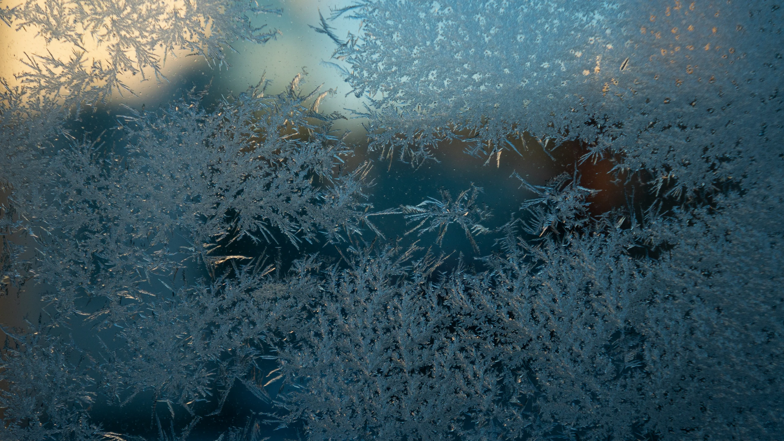 some blue sky and ice looking up at the nches outside