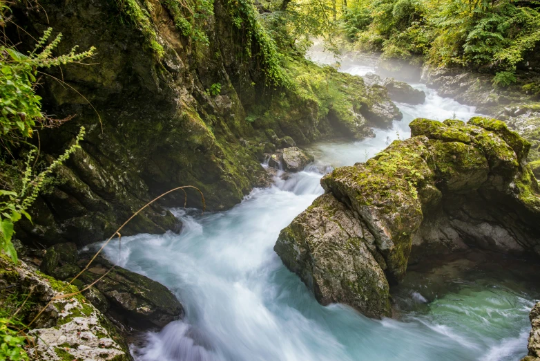 small flowing river in a deep jungle near big rocks