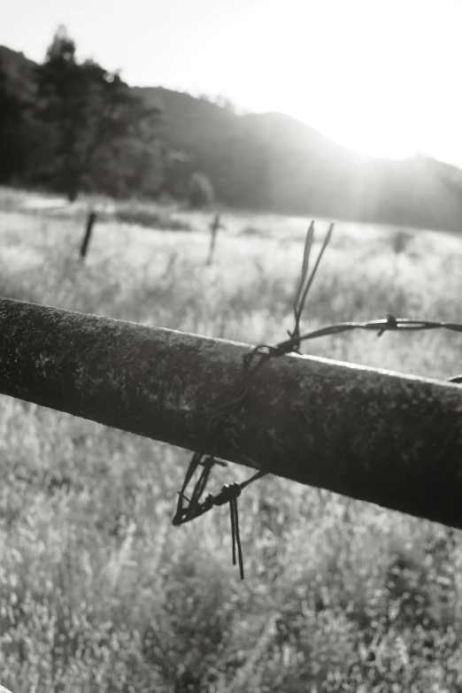 the fence is broken and has metal nails sticking out of it