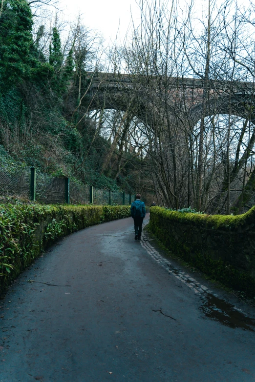 a person walking down a street near trees and bushes