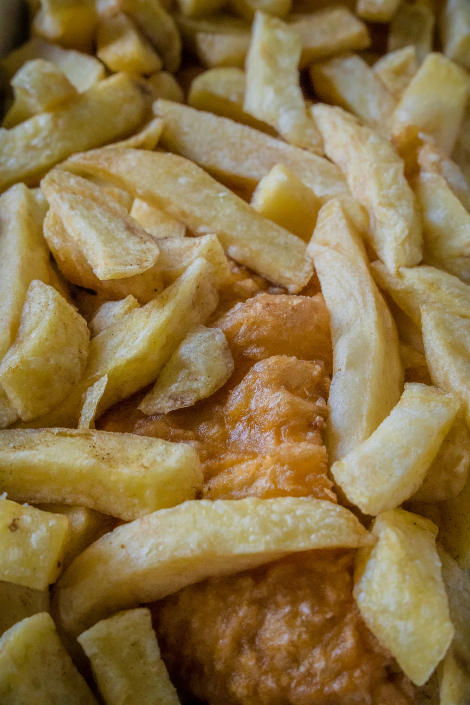 a meat dish with french fries on the side