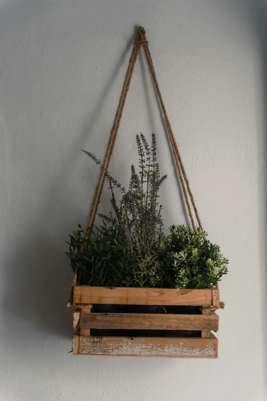 a wooden frame with a plant in it hanging from a wall