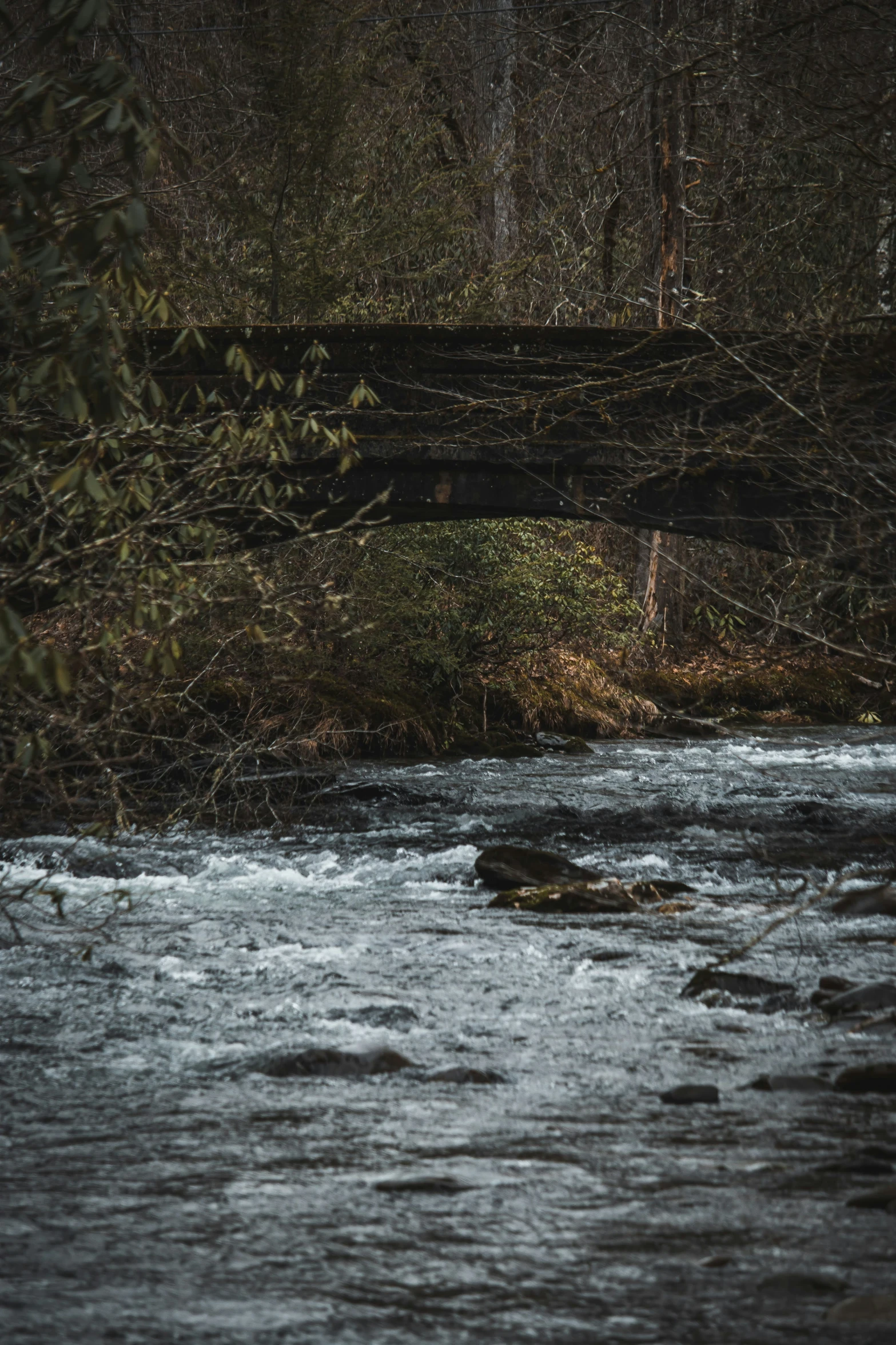 there is a bridge over the water