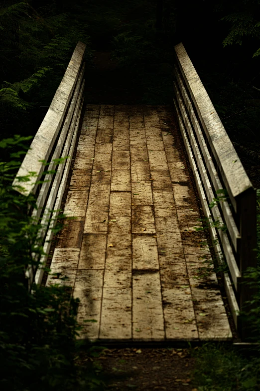 a bridge surrounded by trees and grass leading to the light