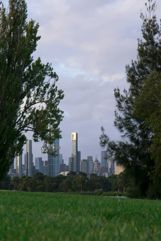 the view of a large city with tall buildings