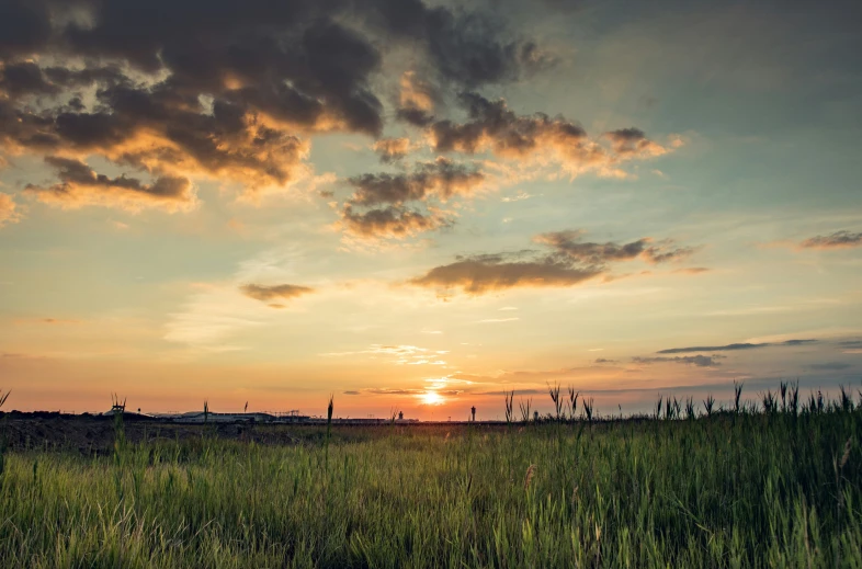 the sun rises over the horizon of an open field