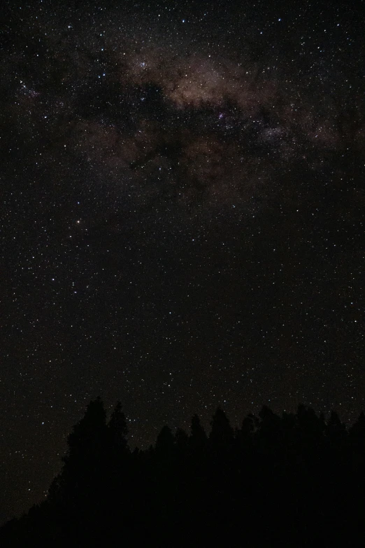 the night sky and stars seen through trees