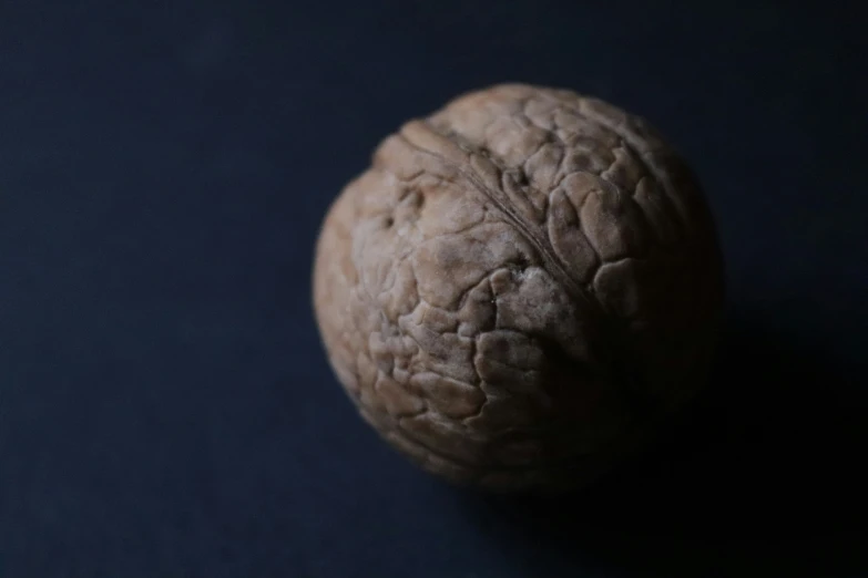 a single walnut on a dark blue background