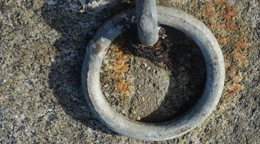 an old round object with roots on the ground