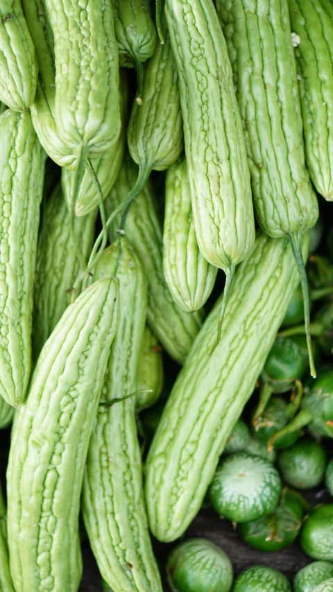 several green beans in pod pods sitting on display