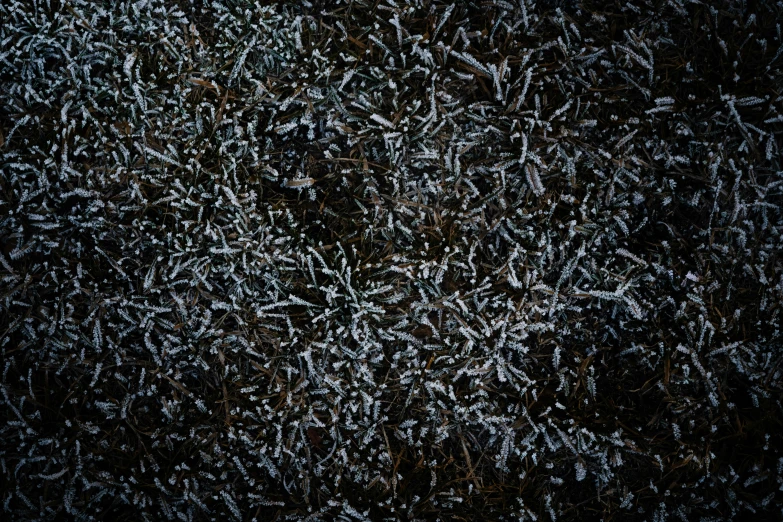 an image of a group of scattered snow flakes