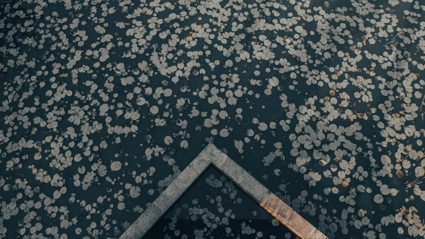 a metal square with a bunch of brown dots on it