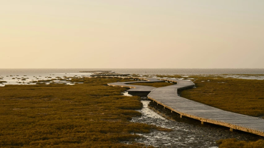 wooden path leading to the ocean on an over cast day