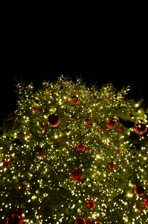 a large christmas tree is lit up and displaying lights