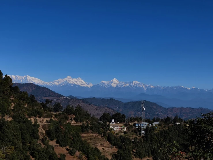 a po looking over a hill with mountains in the distance