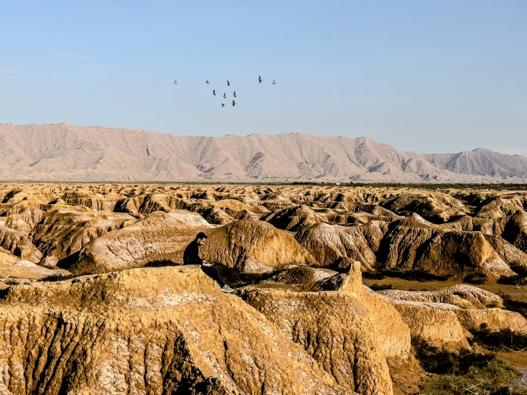 birds flying over rocky mountain landscape in desert