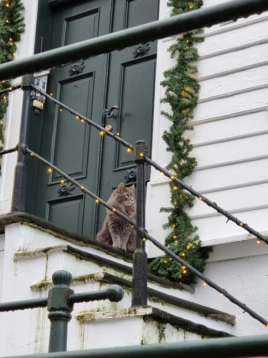 a cat sits on the steps outside a house decorated for christmas