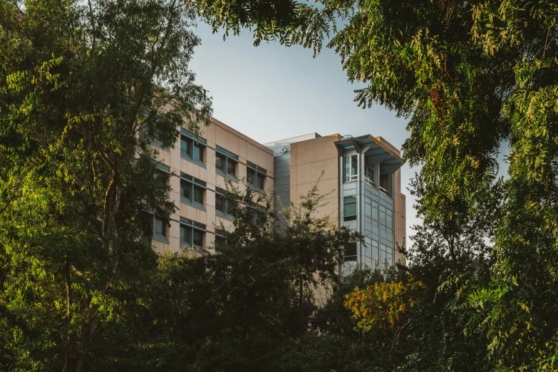 a tall building viewed through trees at sunset