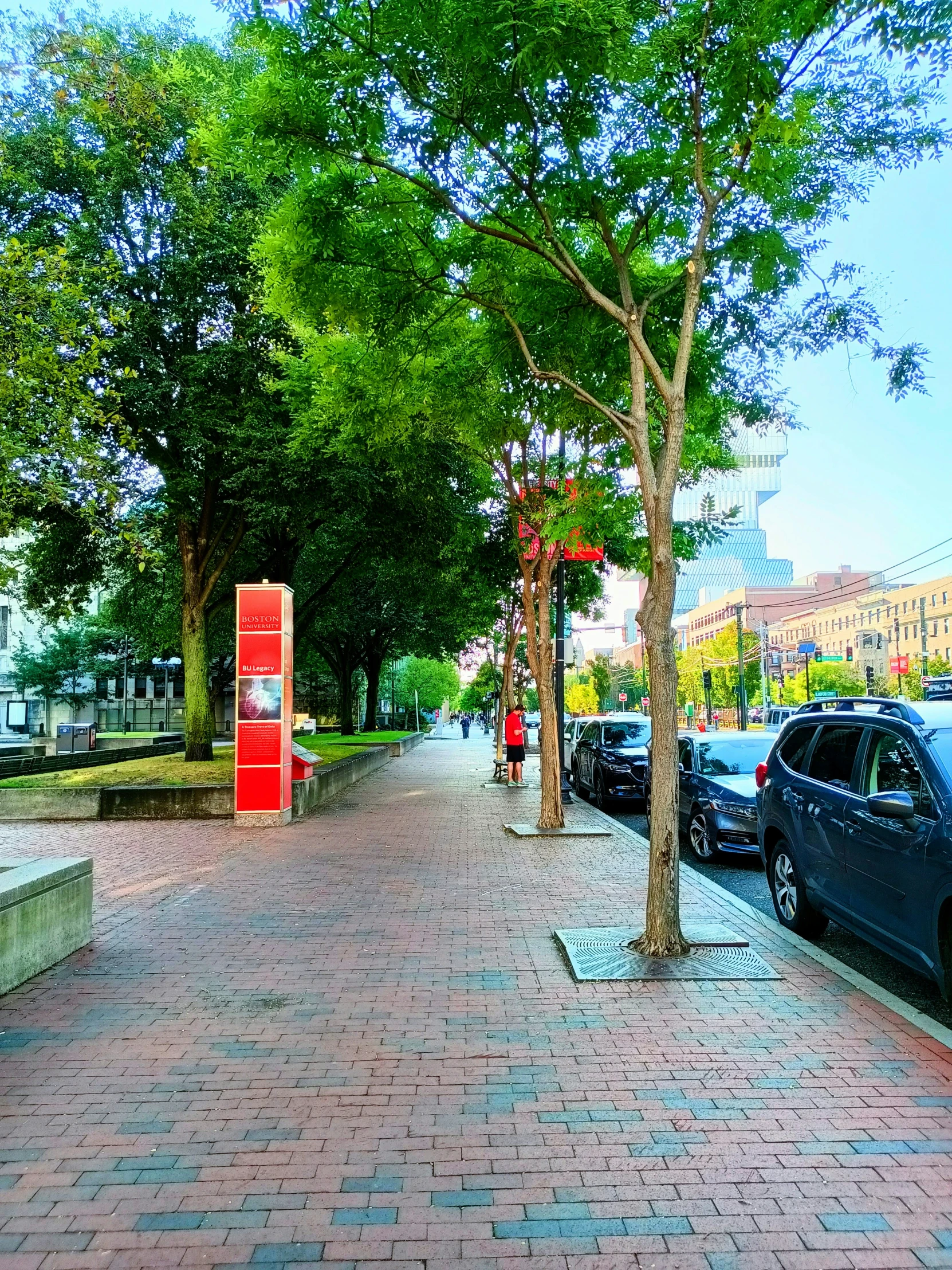 the sidewalk is lined with parked cars and trees