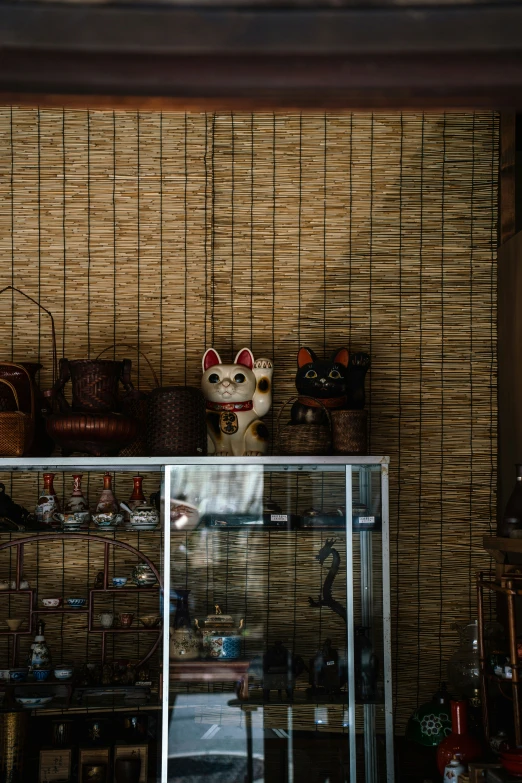 a cat sitting on top of a shelf near a window